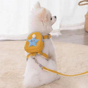 Schattig Hondentuigje met Rugzak Verstelbaar Duurzaam Nylon Ideaal voor Snoepjes Accessoires
