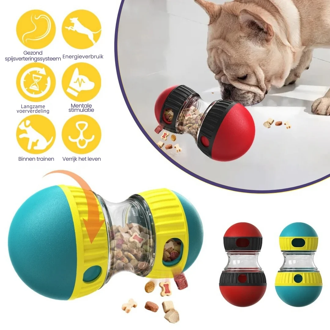 Interactief Achtervolgingsspeeltje voor Honden Halterontwerp Mentale Stimulatie en Beweging - Afbeelding 5