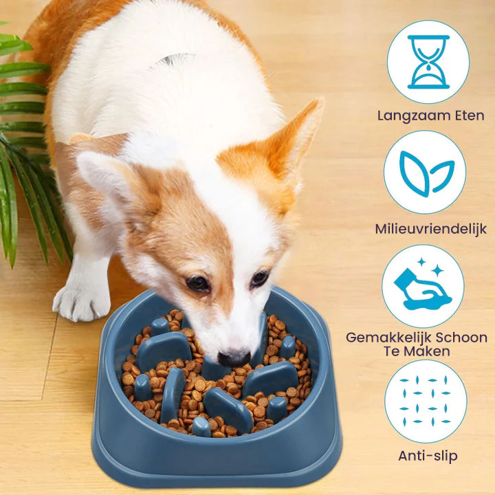 Anti-Schrok Langzame Voerbak voor Honden Duurzaam en Antislip in Speelse Designs - Afbeelding 3