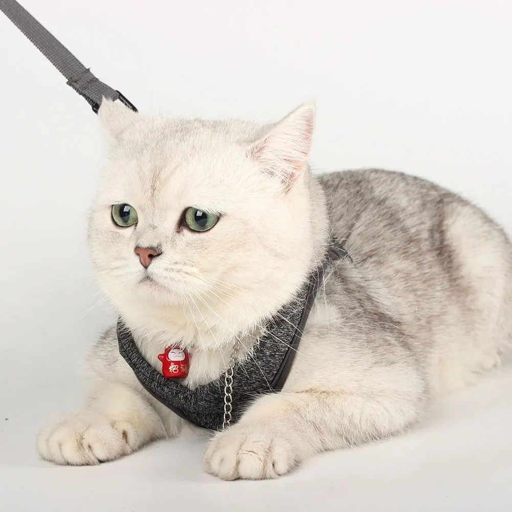 Luxe verstelbaar kattentuigje met bijpassende riem – Stijlvol en comfortabel voor dagelijkse wandelingen - Afbeelding 5