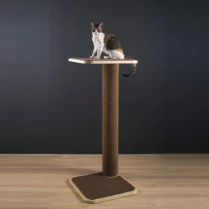 Kattencapsule met Klimrek Massief Hout Transparant Design Comfortabel en Ruimtebesparend
