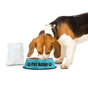 Aanpasbare roestvrijstalen voedsel- en waterbak voor huisdieren met antislipbasis, duurzaam en roestbestendig, diameter 34 cm