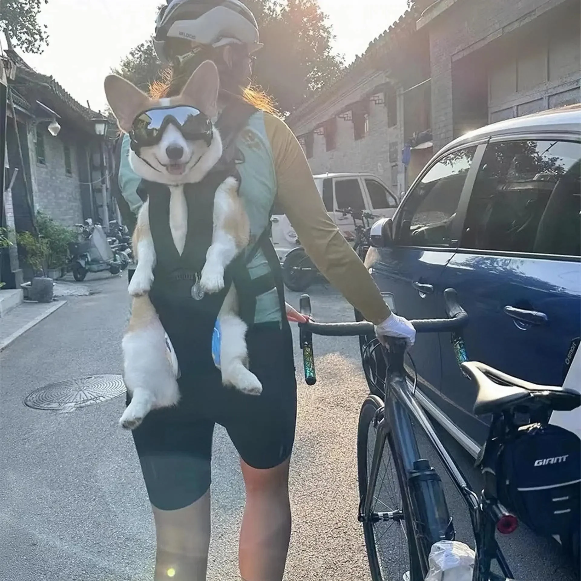 Ademende, verstelbare huisdierrugzak voor kleine honden en katten onder de 30 lbs - Afbeelding 4