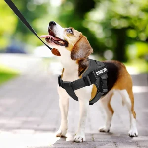 Tuigje voor hulphonden