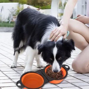 Honden Opvouwbare Voerbak En DrinkBak In 1
