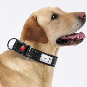Reflecterende Nylon Halsband Zacht Gewatteerd Verstelbaar Veilig Voor Alle Hondenmaten