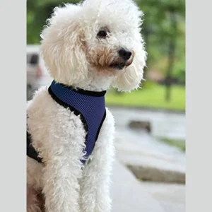 Verstelbaar Hondentuig Ademend No Pull