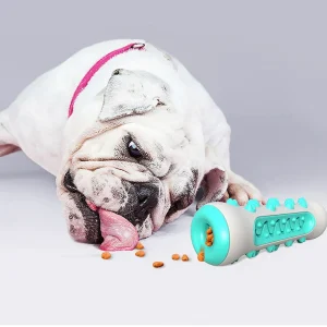 Kauwspeelgoed Hond Veilig Gebitsreinigingsspeeltje