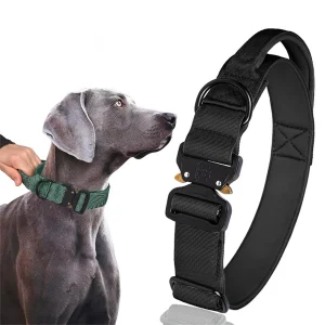 Zware Trainingshalsband Voor Honden Met Handvat Extra Sterk