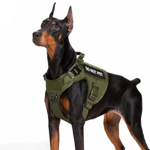 Duurzaam Molle-Systeem Hondenharnas – Robuust 1050D Nylon met Verbeterde Controle en Snelontgrendelbare Gespen