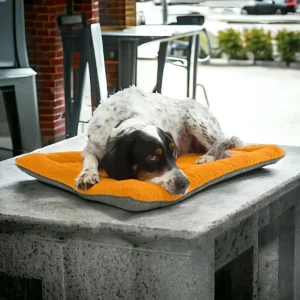 Wasbaar Honden Benchkussen