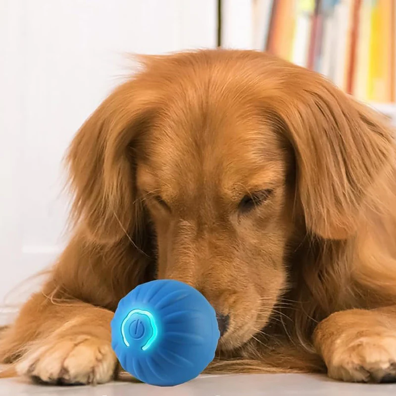 Houd je hond actief en vermaakt met onze slimme, zelfoprollende speelbal - Afbeelding 3