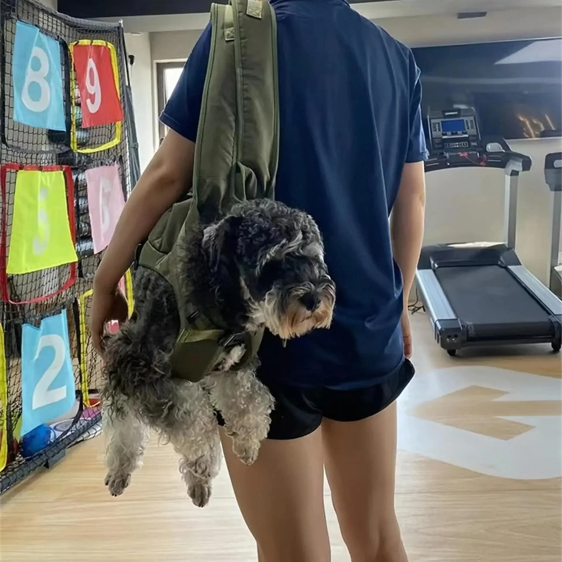 Ademende, verstelbare huisdierrugzak voor kleine honden en katten onder de 30 lbs - Afbeelding 6