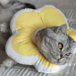 Comfortabele Huisdierherstelhalsband - Voorkomt Likken En Bijten Van Wonden