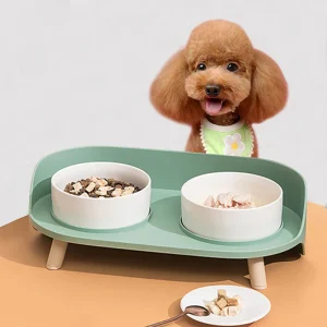 Voerbak Voor Huisdieren Knoeivrij Ontwerp Stabiele Basis Dubbele Voerbakken Ergonomisch Comfort Makkelijk Schoon Te Maken