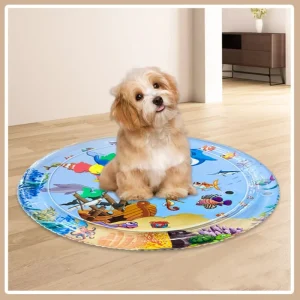 Hondenspeelmat & Koele Watermat