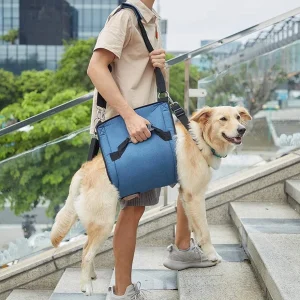 Honden Wandelhulpband Ergonomisch Duurzaam Ondersteuning bij Herstel Beschikbaar in M tot XXL