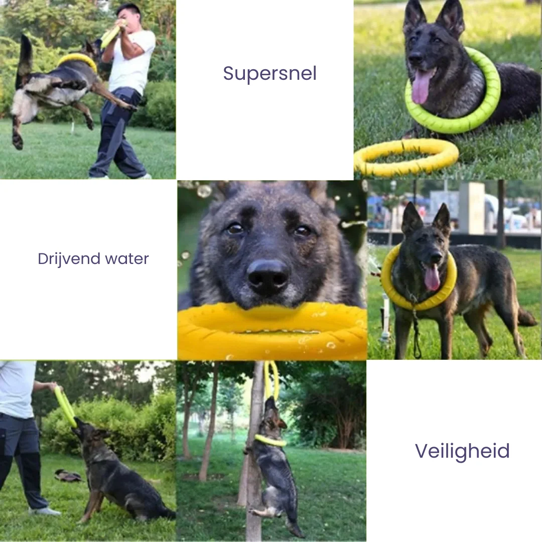 Onverwoestbaar sterk hondenring speelgoed - Afbeelding 5