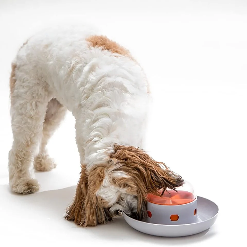 UFO Intelligentie Hondenvoerstation