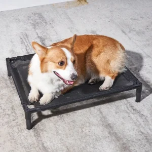 Verhoogd Hondenbed Met Orthopedische Ondersteuning en Luchtcirculatie Duurzaam en Draagbaar