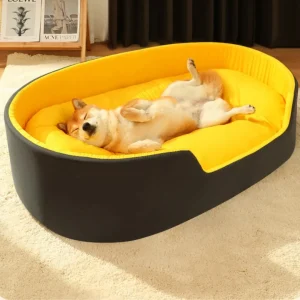 Zacht Honden Slaapkussen Verhoogde Randen En Verwijderbaar Kussen