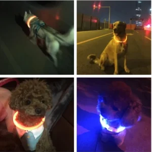 USB Oplaadbare LED Veiligheidshalsband Voor Huisdieren Verhoogde Zichtbaarheid Comfortabel Waterbestendig Lange Batterijduur