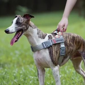 Hondentuig Anti-Trek Ademend Zacht Gevoerd Met handvat