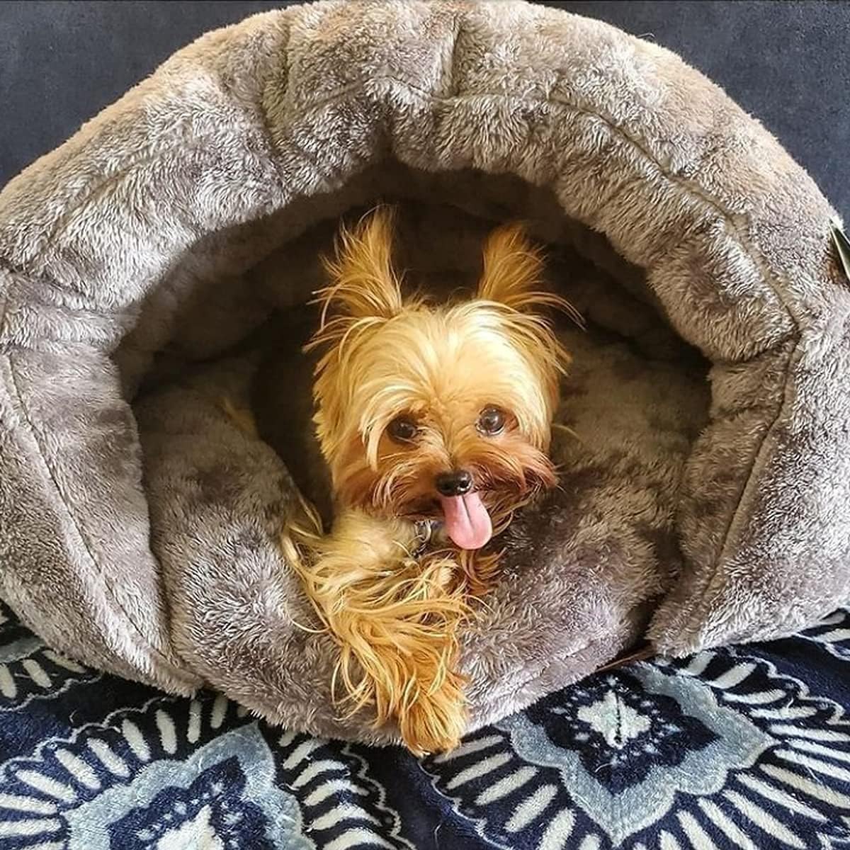 Cozy Cave Ontspanning Hondenbed - Afbeelding 2