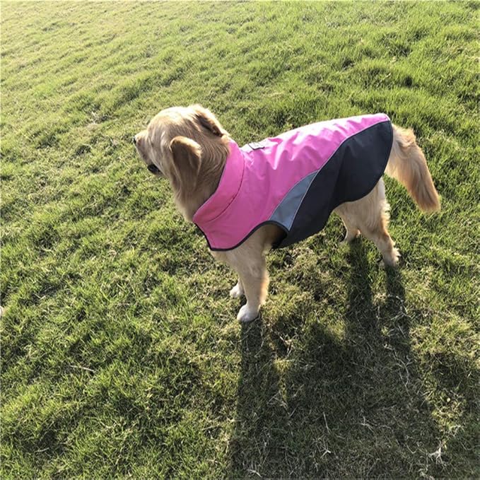 Reflecterende Hondenjas Hoogwaardig Waterdicht Winddicht - Afbeelding 6