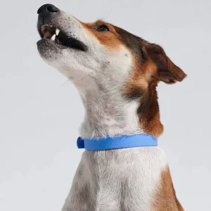 Ruffy Waterbestendige Halsband Voor Honden Slijtvast