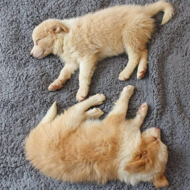 Pluizige Fleece Deken - Afbeelding 6