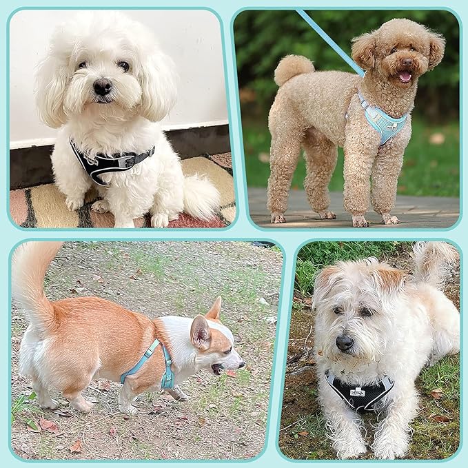 Ademend Hondenharnas met Reflecterende Strips Verstelbare Pasvorm en Snelsluiting - Afbeelding 5