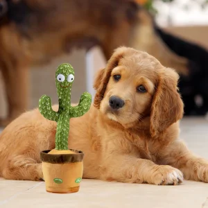 Pratende Cactus Voor Honden