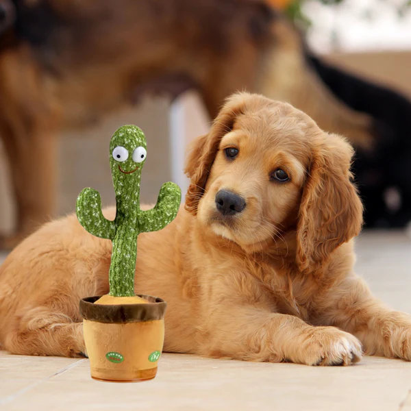 Pratende Cactus Voor Honden - Afbeelding 2