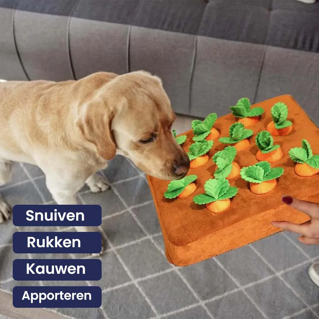 Wortelboerderij Interactief Snuffelspeeltje - Afbeelding 3