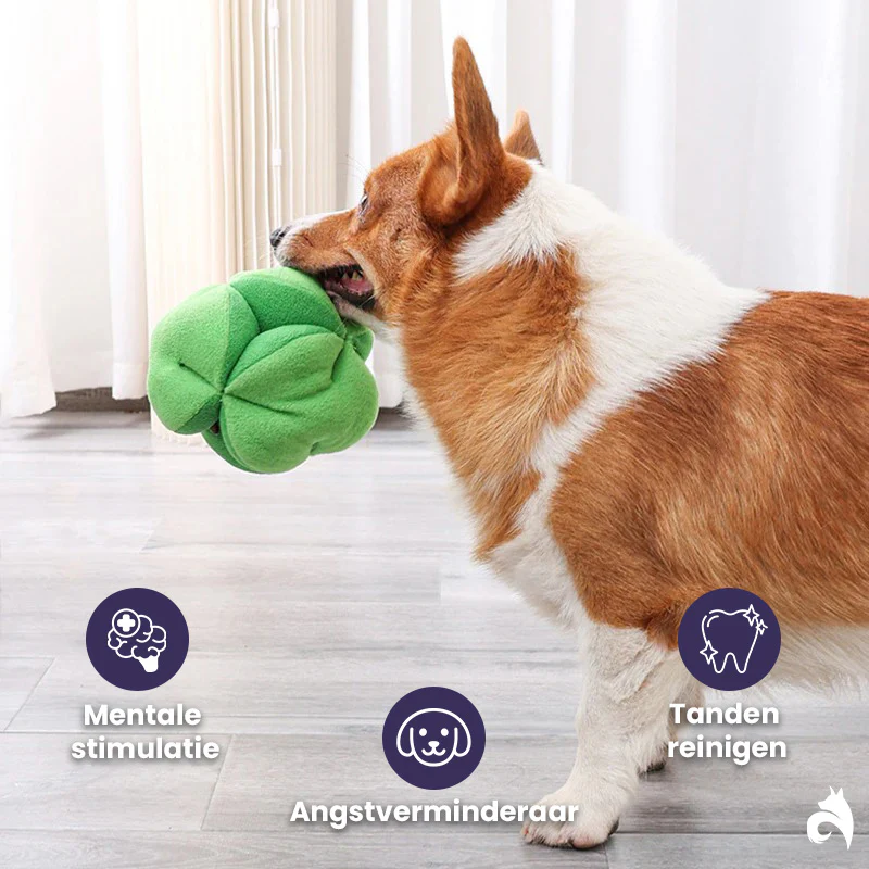 Snuffelende Broccoli Interactieve Traktatie Speelgoed - Afbeelding 3