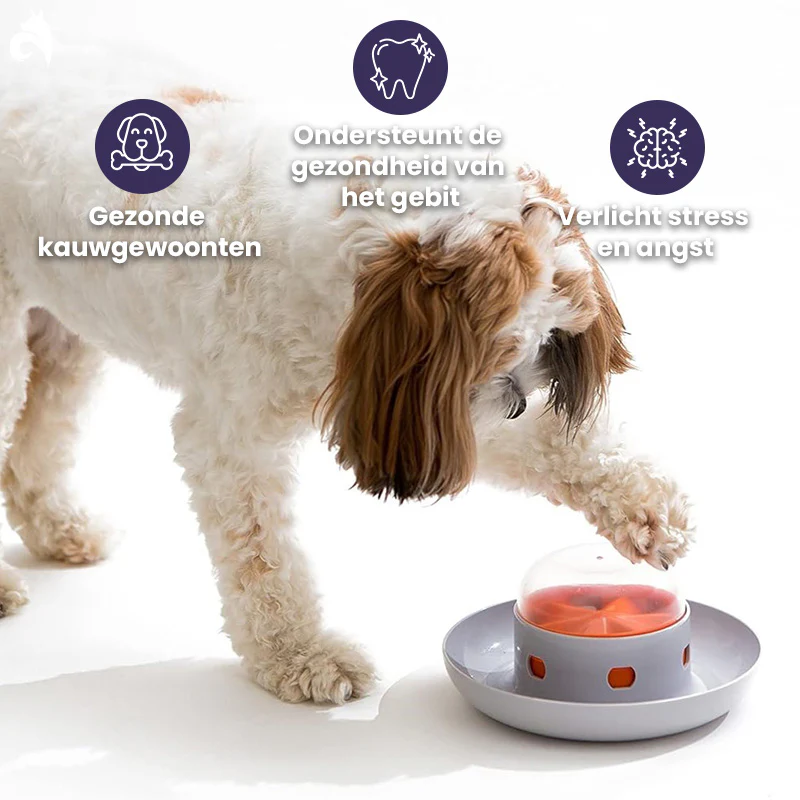 UFO Intelligentie Hondenvoerstation - Afbeelding 3