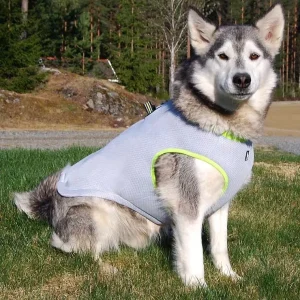 Verkoelend en Warm Hondenvest Ademend Harnasfunctie Verstelbaar Geschikt voor Elk Seizoen