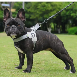 Y Honden Tuig Verstelbaar Reflecterend