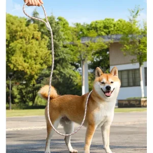 Reflecterende No-Pull Hondenriem Duurzaam Verstelbaar Veiligheid Trainingsriem Voor Middelgrote en Grote Honden Nylon