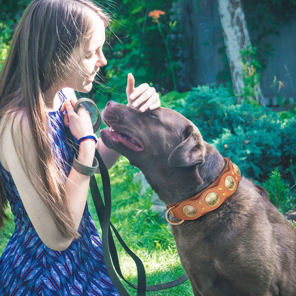 Leren Hondenhalsband Met Puntige Studs Modieus Duurzaam Verstelbaar Veilig Voor Middelgrote Tot Grote Honden - Afbeelding 4