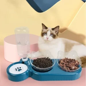 Verhoogde Dubbele Voerbak Met Automatische Waterdispenser Voor Honden en Katten