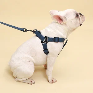 Waterdicht hondentuig Verstelbaar PVC-tuig voor regenachtige dagen