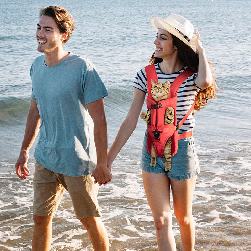 Ademende polyester hondendraagtas met verstelbare bandjes en veilige basis in bankstijl voor kleine honden - Afbeelding 6