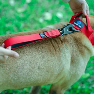 Hondenriem Korte Lengte Militaire Nylon Duurzaam Verbeterde Controle Beschikbaar in Grijs Zwart Rood Groen