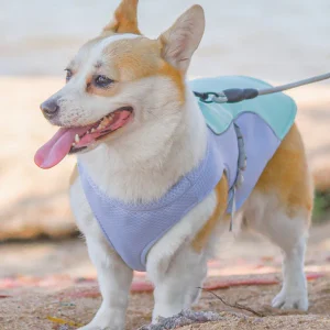 Koelvest voor Honden Met UV-Bescherming Lichtgewicht en Verstelbare Pasvorm