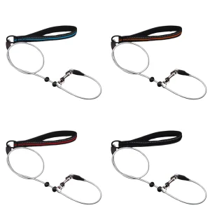 Sterke Staaldraad Hondentraining P-ketting Leiband