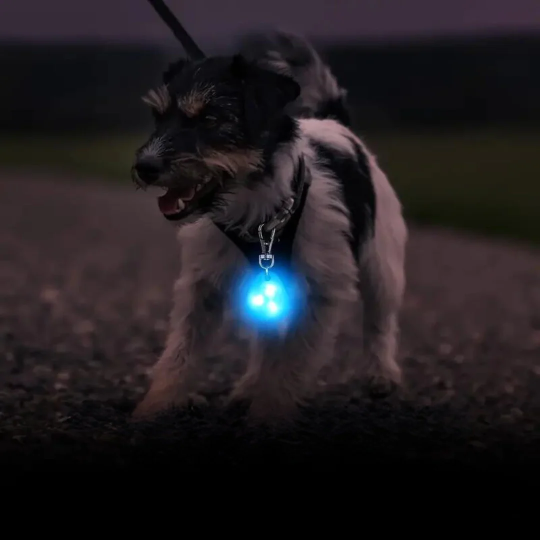 Halsband Voor Honden Met Nachtveiligheids-LED Lampje - Afbeelding 4