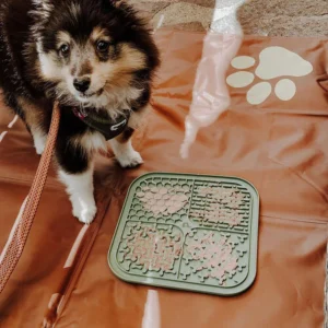 Siliconen Likmat voor Honden Antislip Slowfeeder voor Droog en Nat Voer