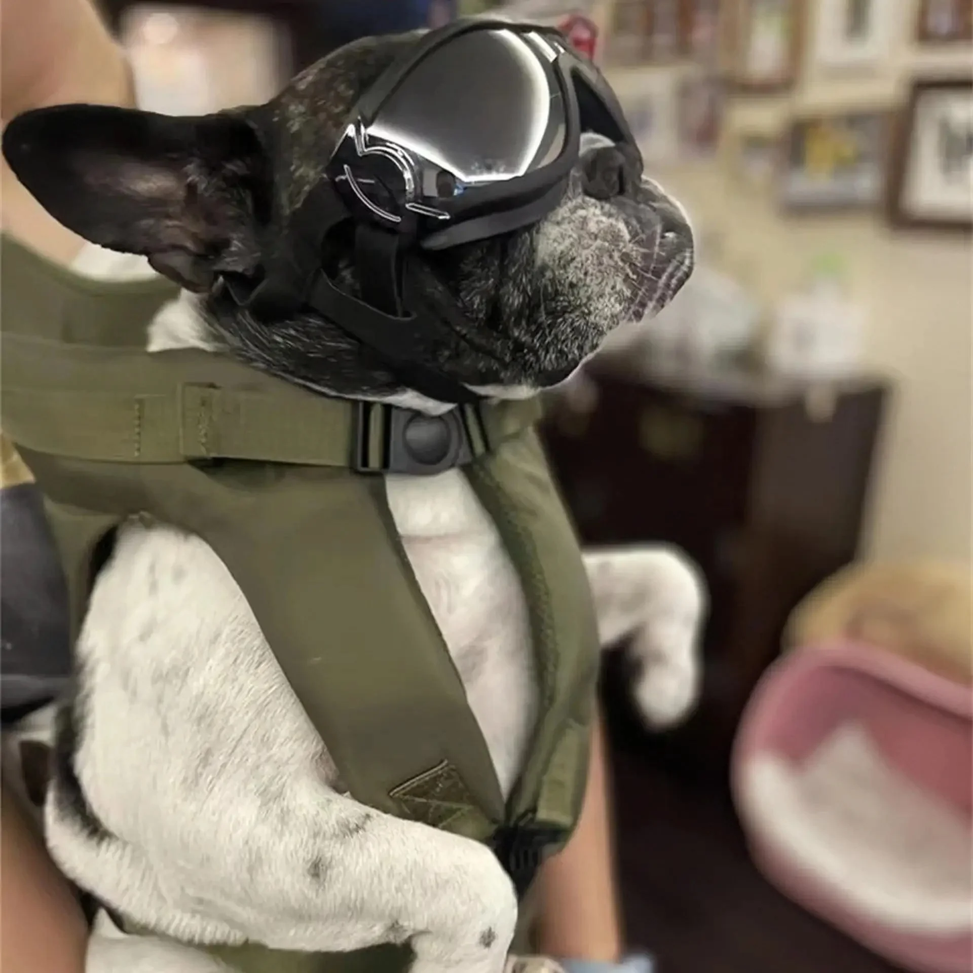 Ademende, verstelbare huisdierrugzak voor kleine honden en katten onder de 30 lbs - Afbeelding 3